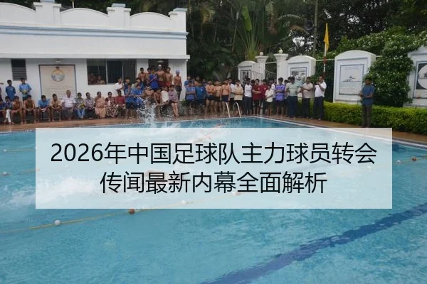 2026年中国足球队主力球员转会传闻最新内幕全面解析