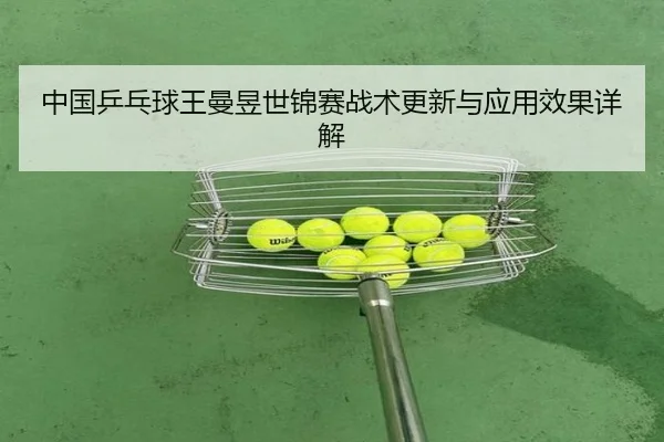 zhong-guo-ping-pang-qiu-wang-man-yu-shi-jin-sai-zhan-shu-geng-xin-yu-ying-yong-xiao-guo-xiang-jie-2-349.jpg
