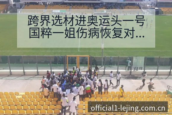 跨界选材进奥运头一号国粹一姐伤病恢复对赛程影响数据对比分 - 乐竞体育官网